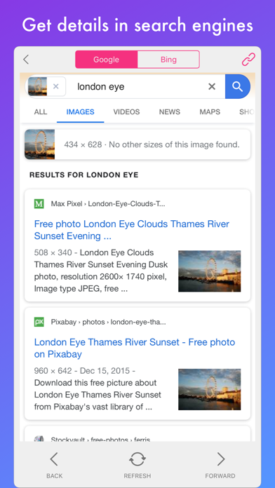 Reverse Image Search . screenshot 3