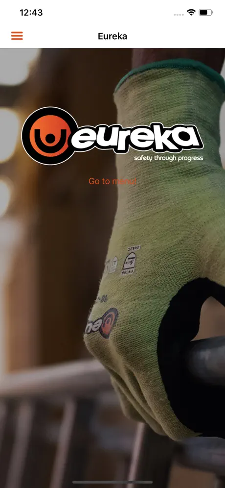 Eureka Safety Gloves