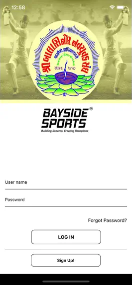 Game screenshot Balasinor Cricket apk