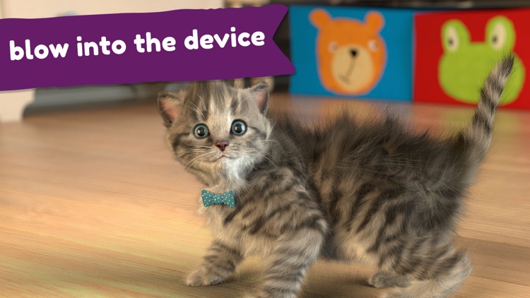Little Kitten: Virtual Pet Cat screenshot-4