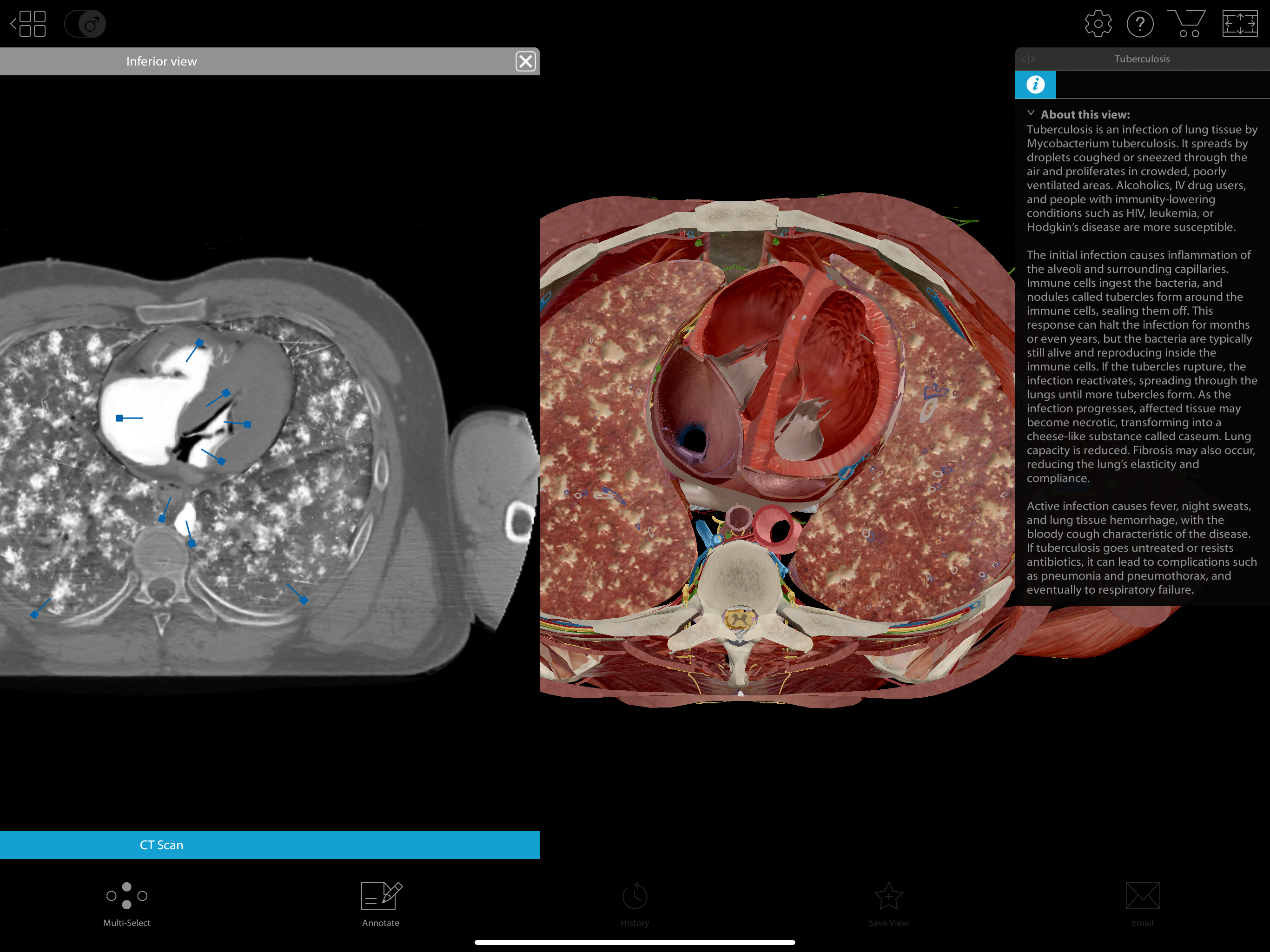 Physiology & Pathology