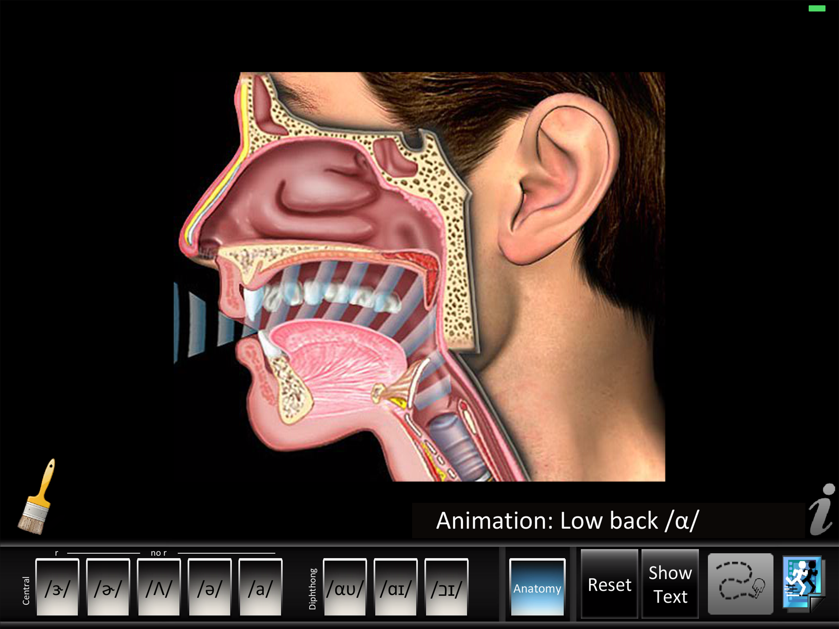 Vowels Central Diphthong screenshot 9