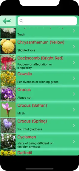 Game screenshot Flowers Language apk