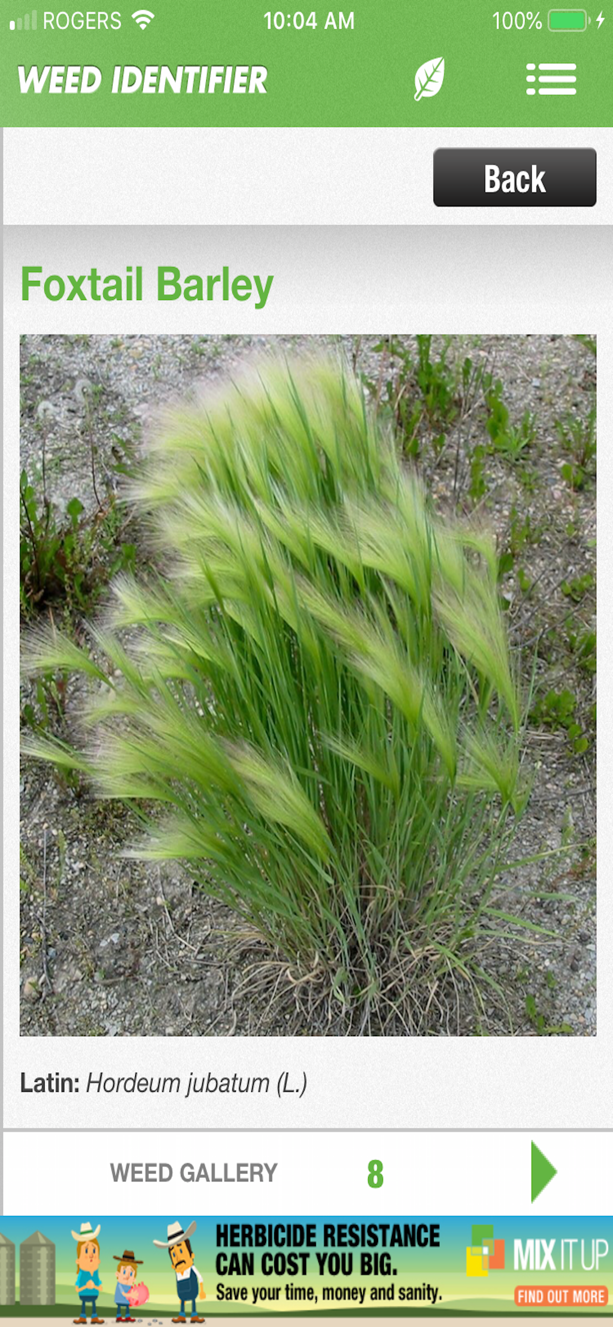 Weed ID
