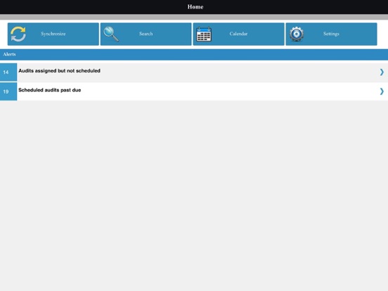 Screenshot #4 pour iAudit