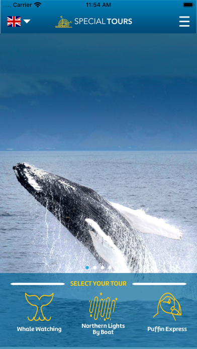 Screenshot #2 pour Special Tours Iceland