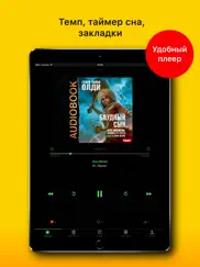 Слушать аудиокниги айпад изображения 4