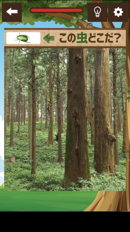 発見王者！むしハンター