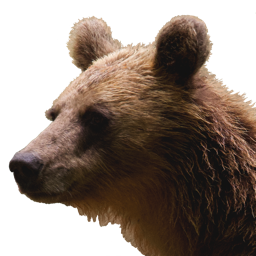 Reggy Bear