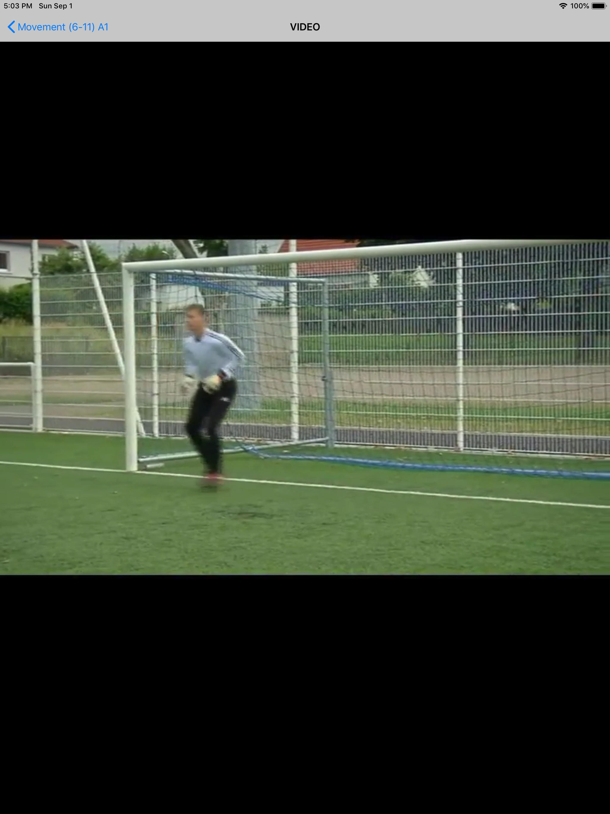 Goalkeeper Training
