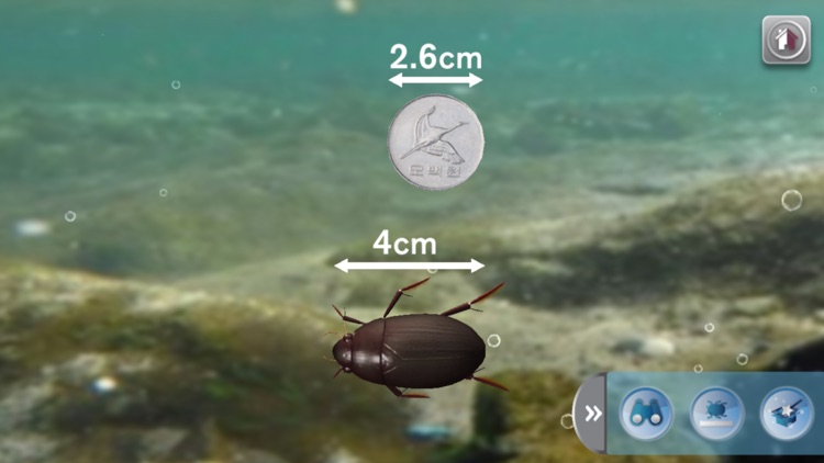 물에 사는 내친구 AR Book