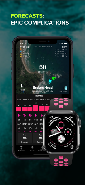 Surf Watch(圖2)-速報App