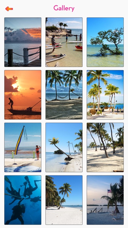 Islamorada Tourism Guide screenshot-3