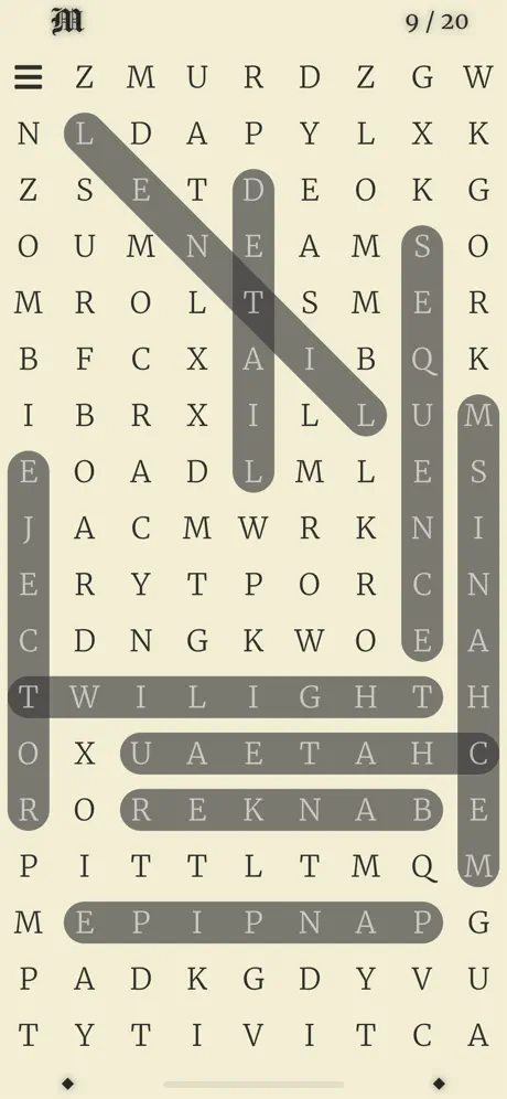 Word Search Large