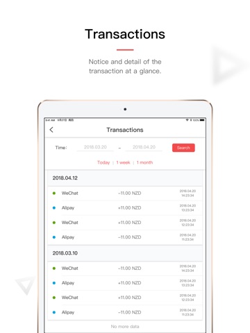 iPaynow iPad screenshot