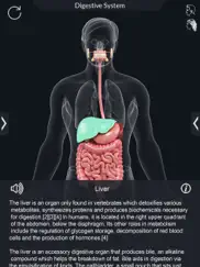 my digestive system anatomy ipad resimleri 4