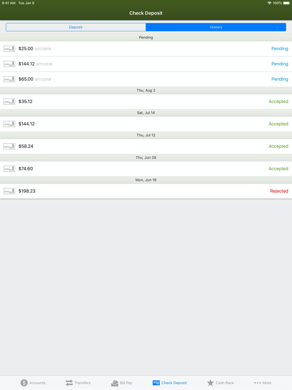 Argent Mobile Banking iPad screenshot 9 - Finance app
