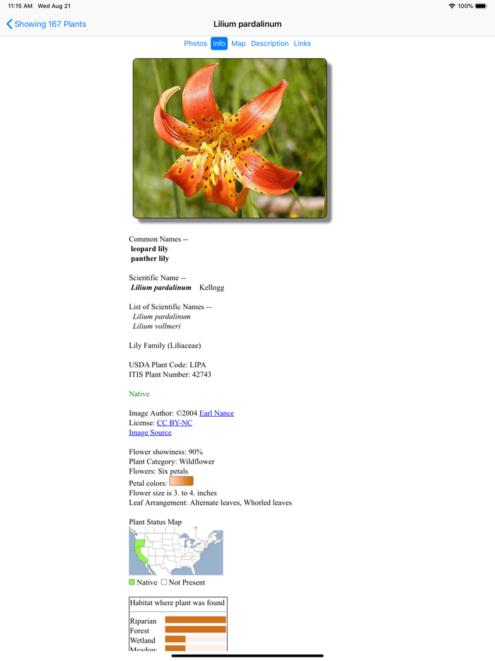 SF Bay Area Wildflowers