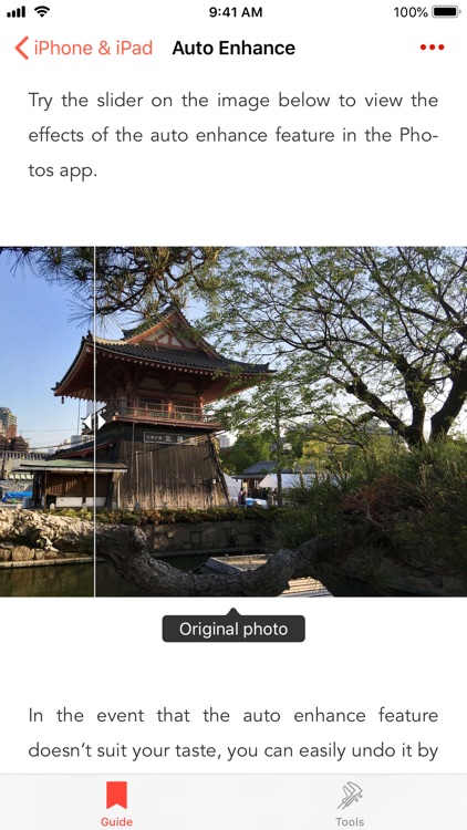 The Photo Guide