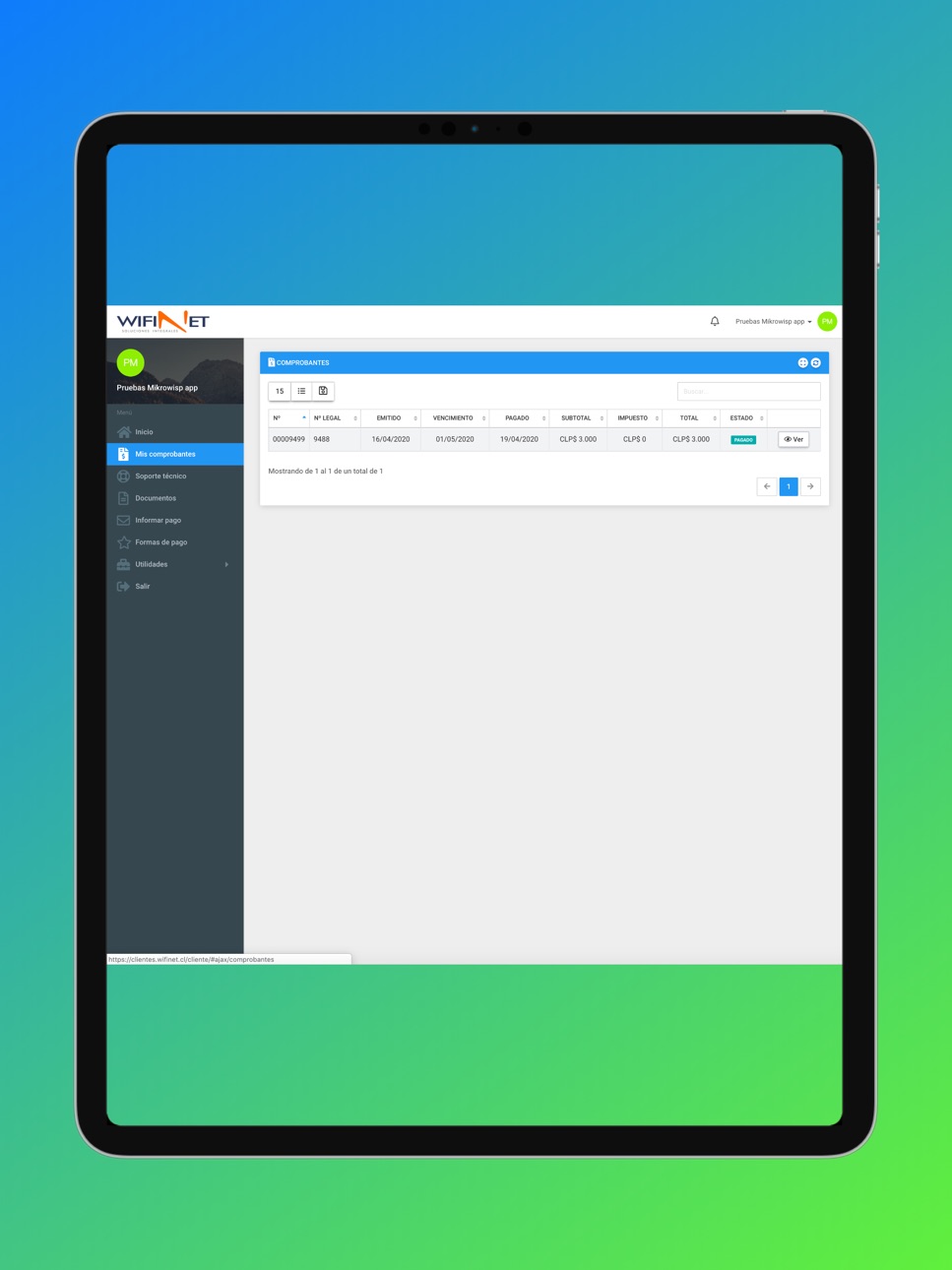 iPad screenshot