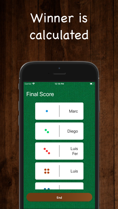 Domino Score Log screenshot 4