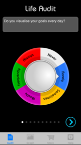 Life Audit screenshot