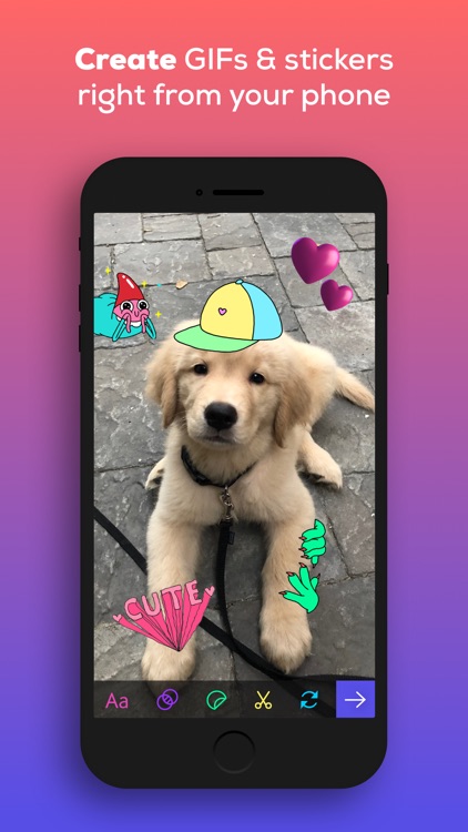 GIPHY: The GIF Search Engine