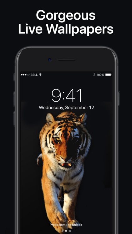 Live Wallpapers X screenshot-0