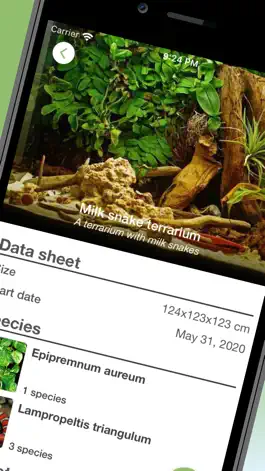 Game screenshot Terrarium Vitae mod apk