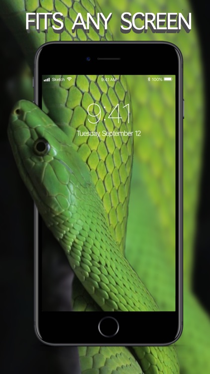 Live Wallpapers - ThemeRio screenshot-4