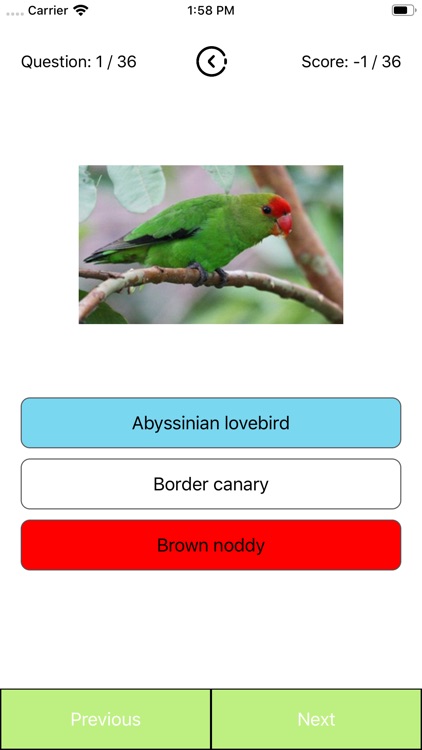 Birds Type List