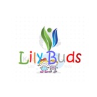 Lily Buds