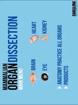 Game screenshot Mammalian Organ Dissection mod apk