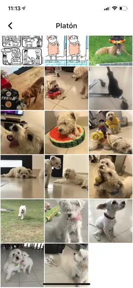 Game screenshot Canhijos apk