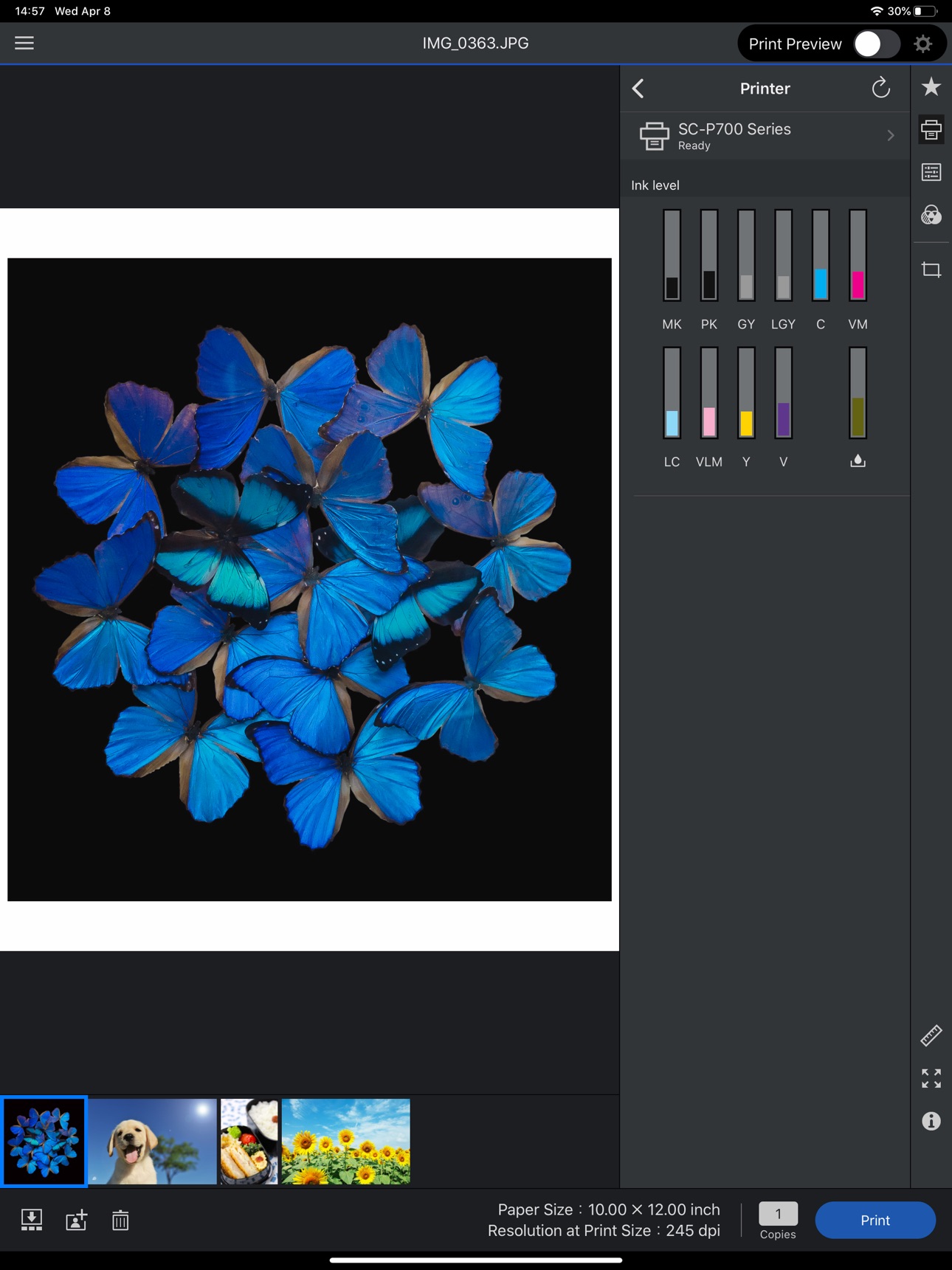 Screenshot 7 of Epson Print Layout