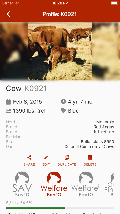 BovIQ Screenshot