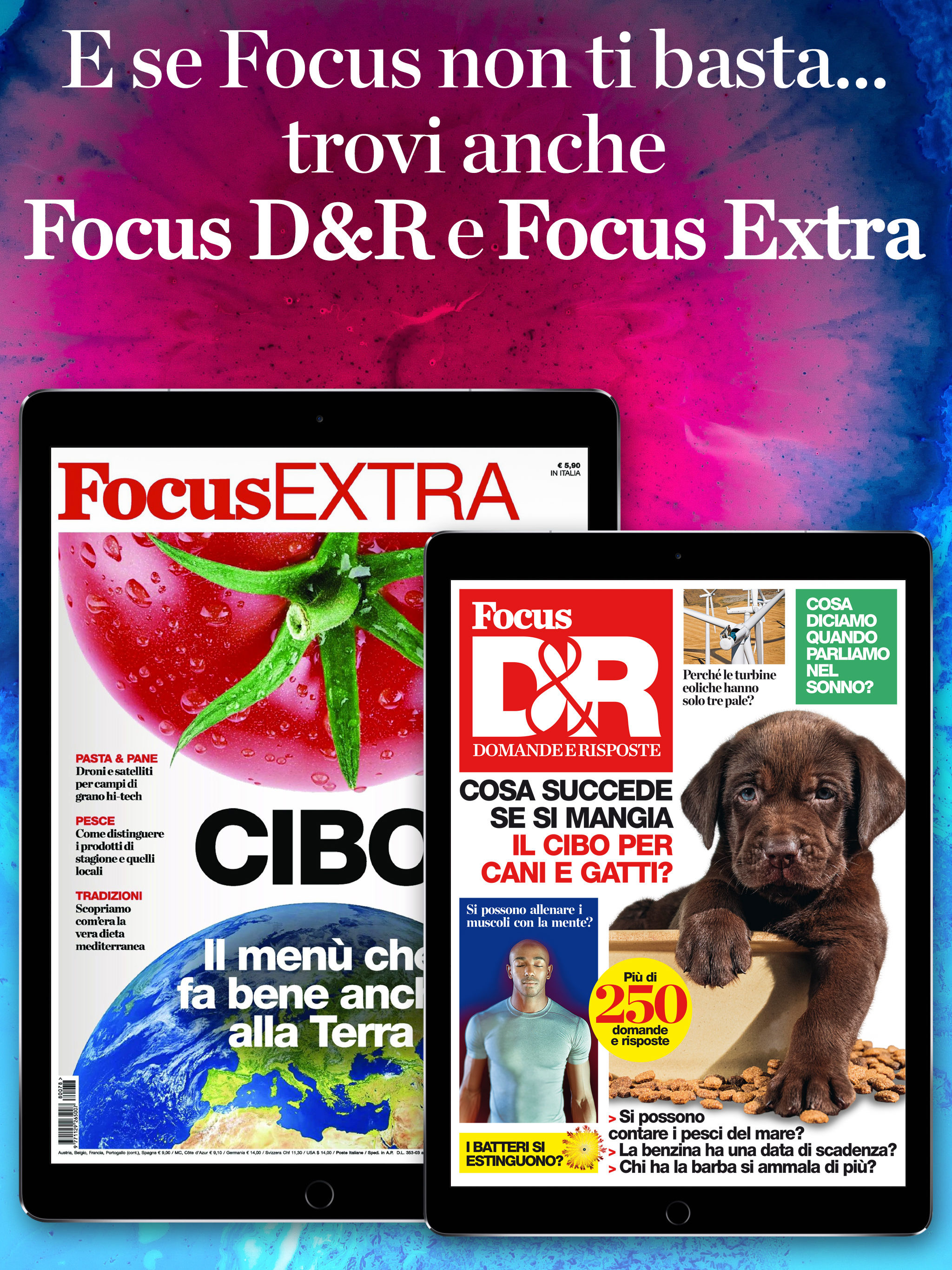 Focus Italia