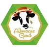 Alkmaars Goud icon