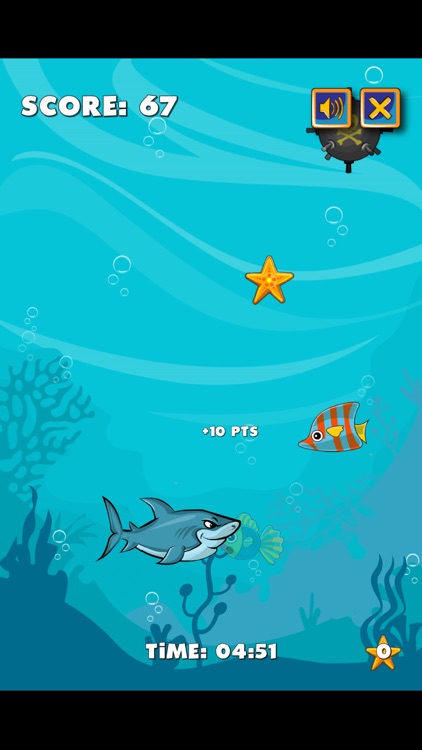 Fast Shark! screenshot-3