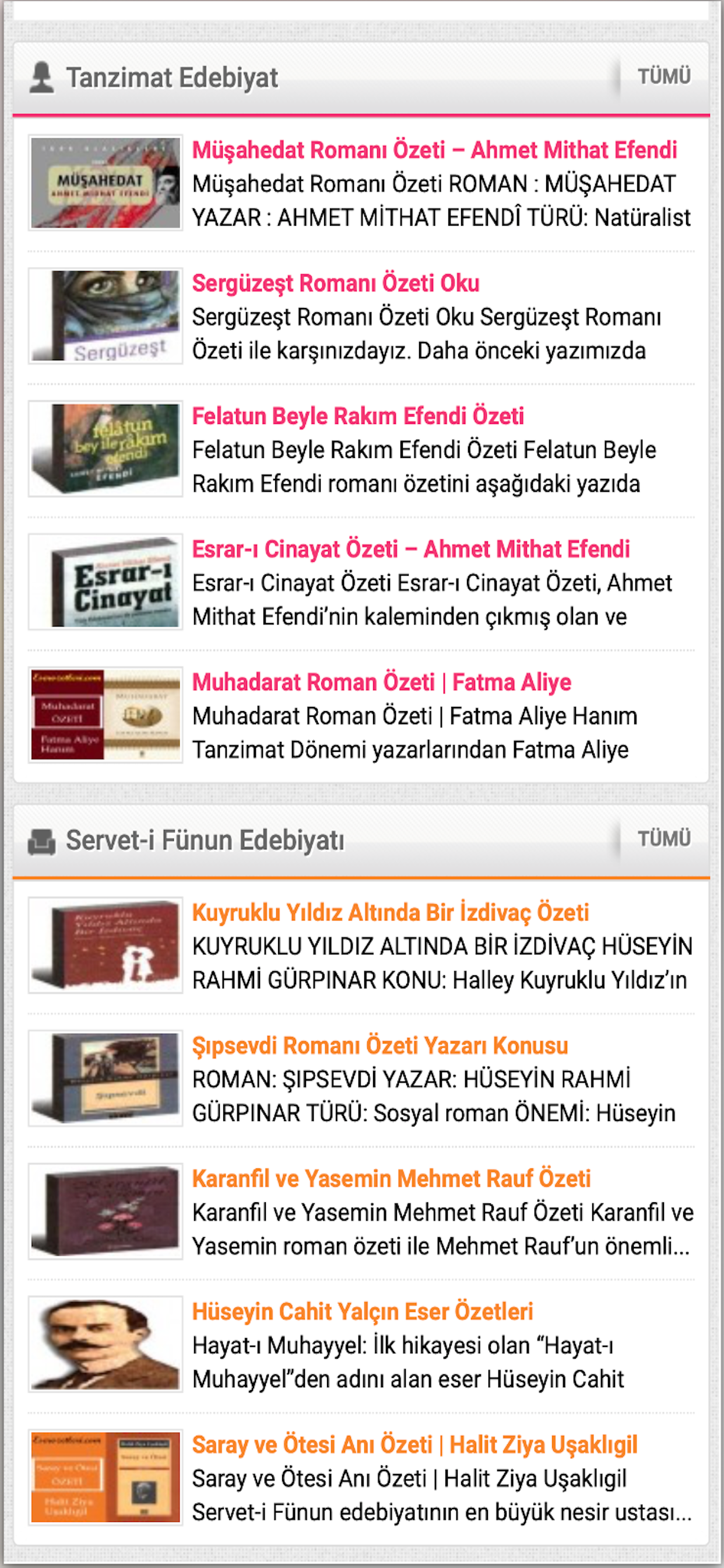 Eser Özetleri screenshot 4