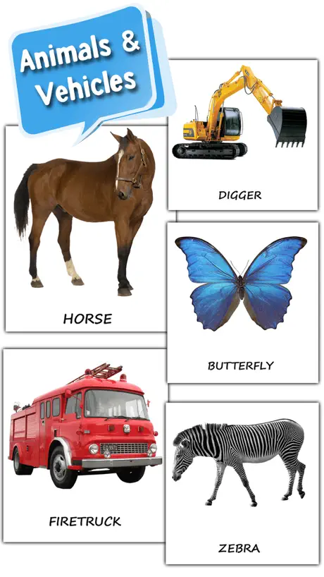 My First 100 Word Flashcards