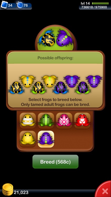 Pocket Frogs: Tiny Pond Keeper screenshot-4