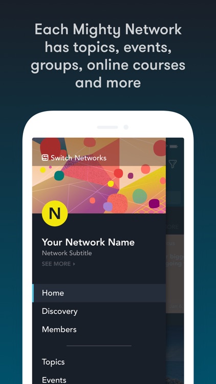 Mighty Networks
