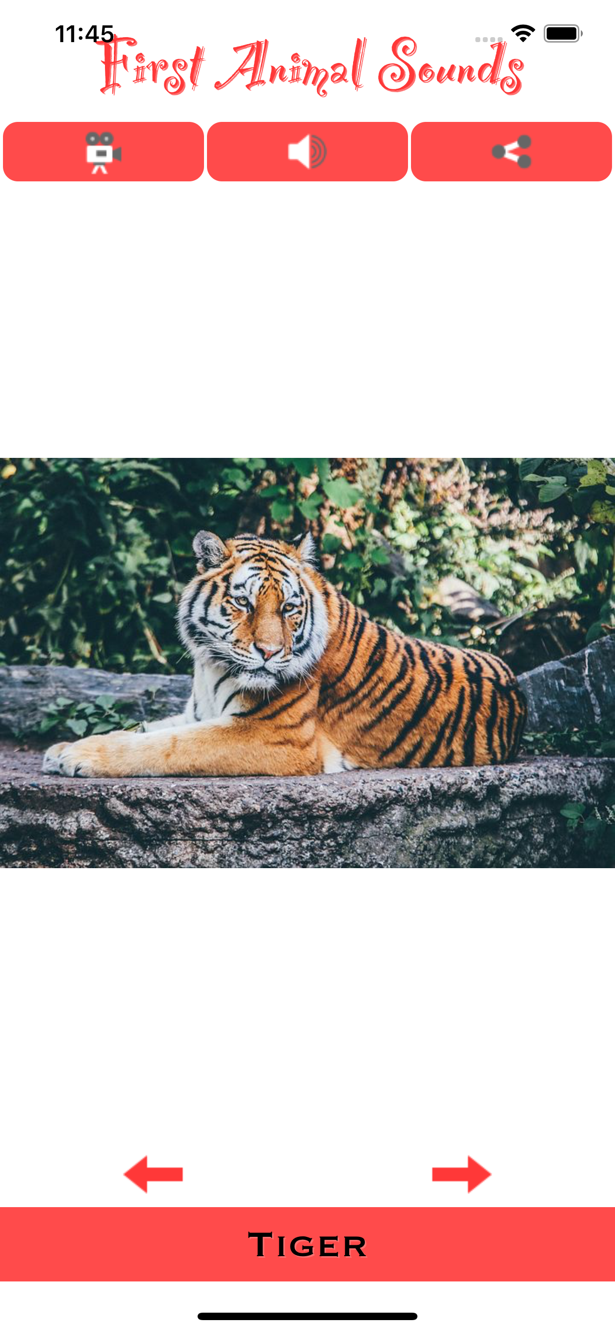 First Animal Sounds App screenshot 3