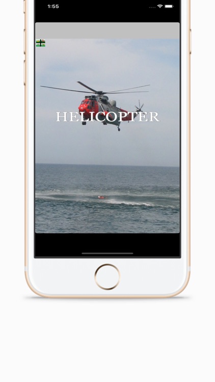 Toddler's Picture Book