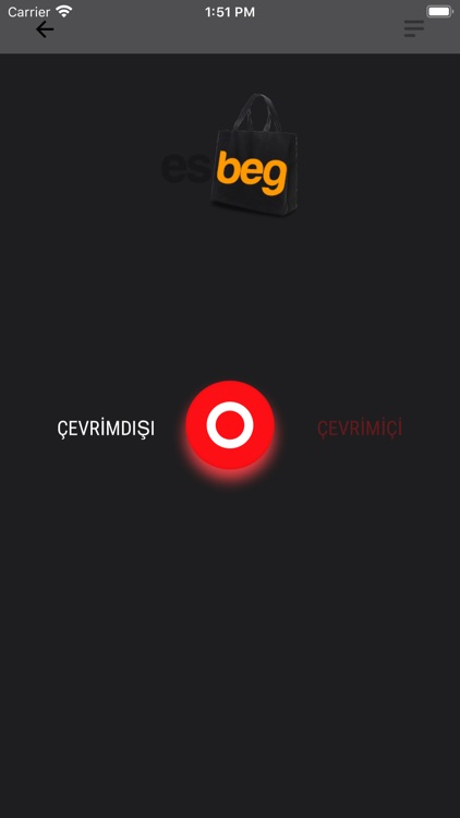 esbeg sürücü screenshot-4