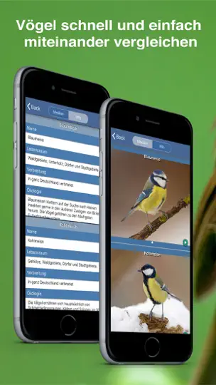 Screenshot von Vogel Id Gartenvögel Bestimmen auf dem iPhone 5