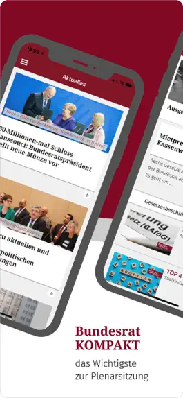 Game screenshot Bundesrat apk