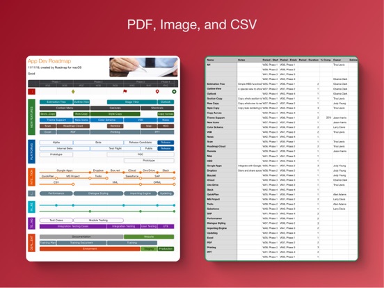 Roadmap - Timeline Plan Chart iPad screenshot 9 - Business app
