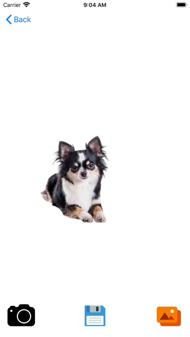 dog background remover iPhone screenshot 7 - Photo & Video app